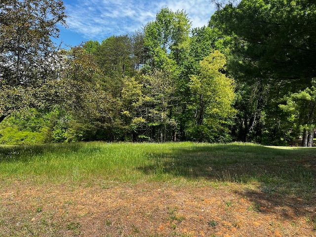 000000 Virgilina Cir Unit 46 & 46A, Cana, VA 24317