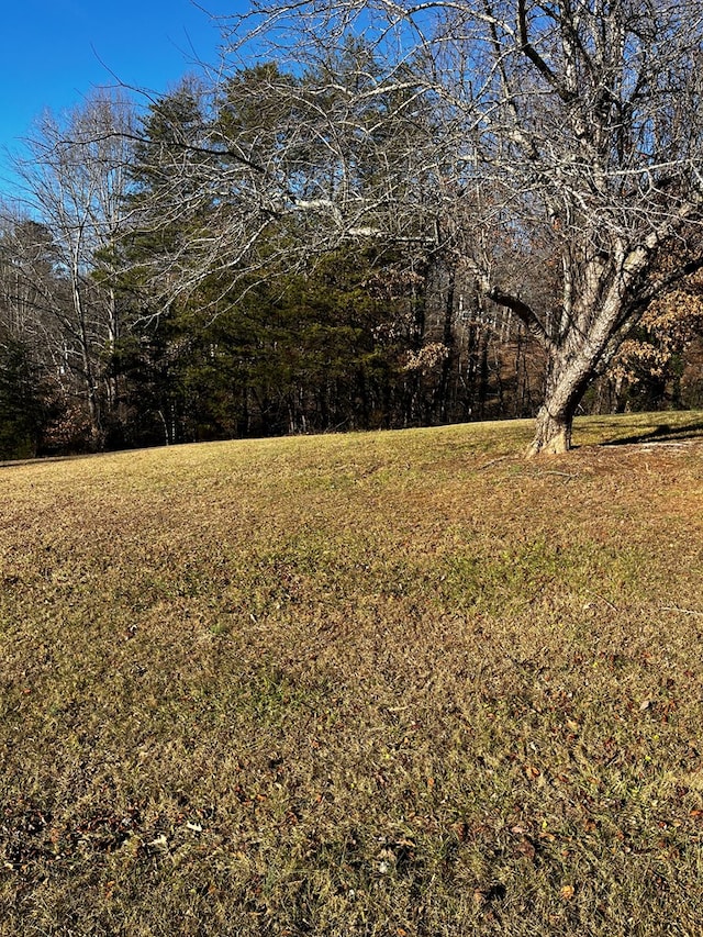 000000 Virgilina Cir Unit 46 & 46A, Cana, VA 24317