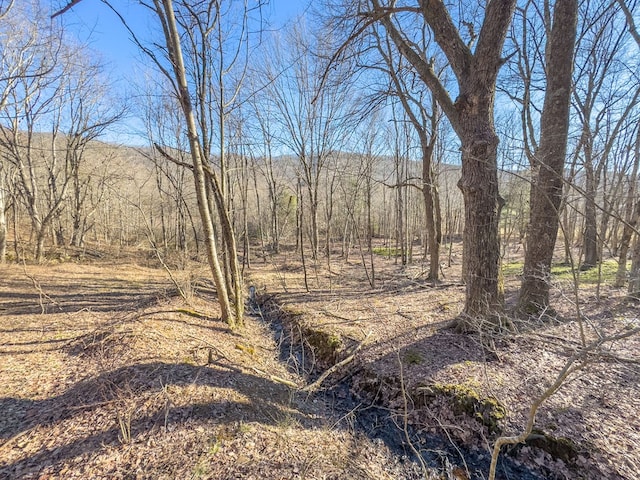 92Acres Laurel Fork Road 87&108, Rocky Gap, VA 24366 - photo 23