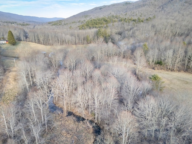92Acres Laurel Fork Road 87&108, Rocky Gap, VA 24366 - photo 10