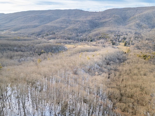 92Acres Laurel Fork Road 87&108, Rocky Gap, VA 24366 - photo 30