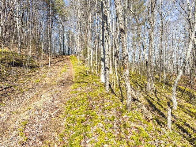 92Acres Laurel Fork Road 87&108, Rocky Gap, VA 24366 - photo 16