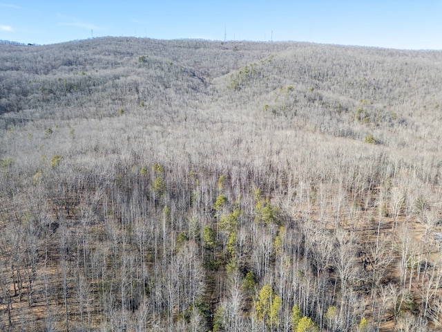 92Acres Laurel Fork Road 87&108, Rocky Gap, VA 24366 - photo 33