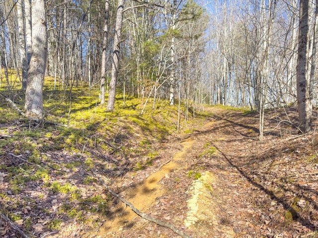 92Acres Laurel Fork Road 87&108, Rocky Gap, VA 24366 - photo 14