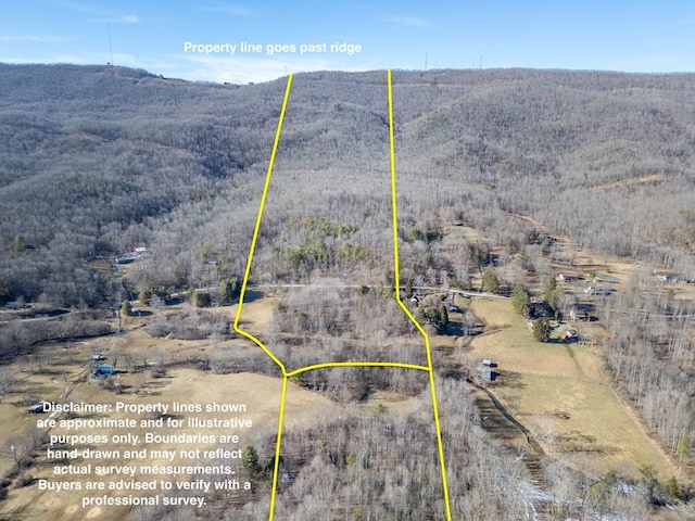 92Acres Laurel Fork Road 87&108, Rocky Gap, VA 24366 - photo 1