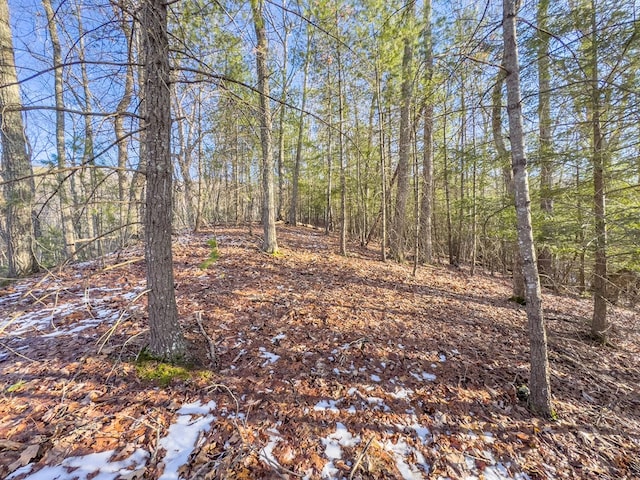 92Acres Laurel Fork Road 87&108, Rocky Gap, VA 24366 - photo 27