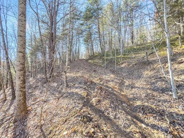 92Acres Laurel Fork Road 87&108, Rocky Gap, VA 24366 - photo 20