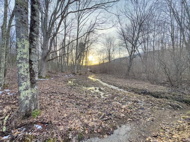 92Acres Laurel Fork Road 87&108, Rocky Gap, VA 24366 - photo 28