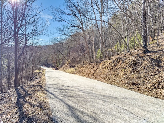 92Acres Laurel Fork Road 87&108, Rocky Gap, VA 24366 - photo 22