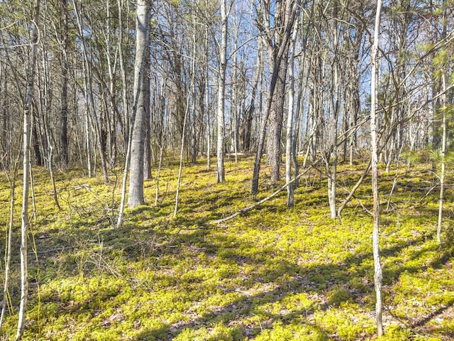 92Acres Laurel Fork Road 87&108, Rocky Gap, VA 24366 - photo 15