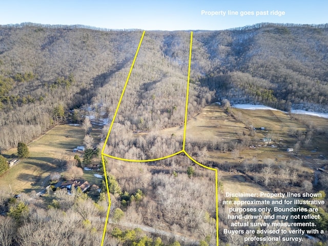 92Acres Laurel Fork Road 87&108, Rocky Gap, VA 24366 - photo 4