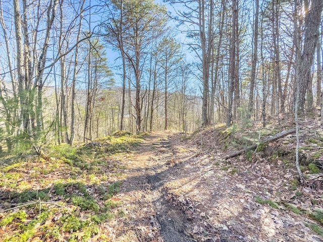 92Acres Laurel Fork Road 87&108, Rocky Gap, VA 24366 - photo 19