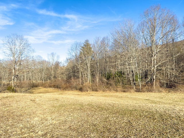 92Acres Laurel Fork Road 87&108, Rocky Gap, VA 24366 - photo 25