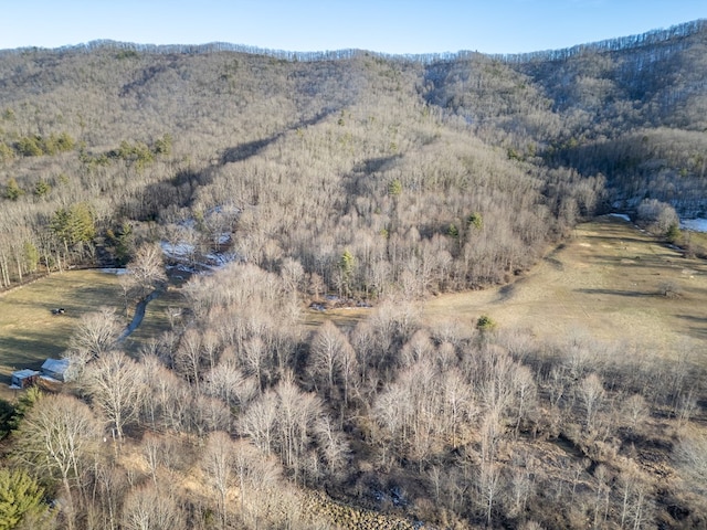 92Acres Laurel Fork Road 87&108, Rocky Gap, VA 24366 - photo 5