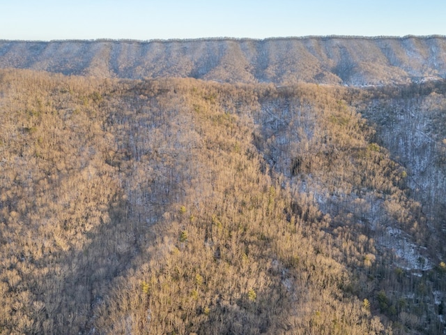 92Acres Laurel Fork Road 87&108, Rocky Gap, VA 24366 - photo 31