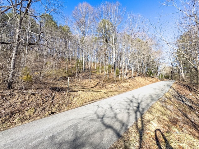 92Acres Laurel Fork Road 87&108, Rocky Gap, VA 24366 - photo 21