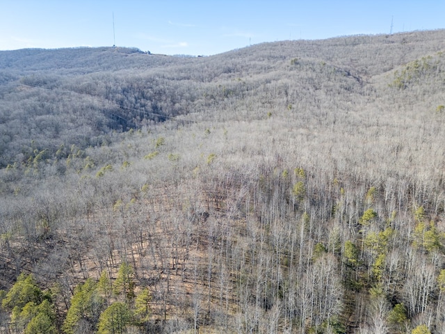 92Acres Laurel Fork Road 87&108, Rocky Gap, VA 24366 - photo 32