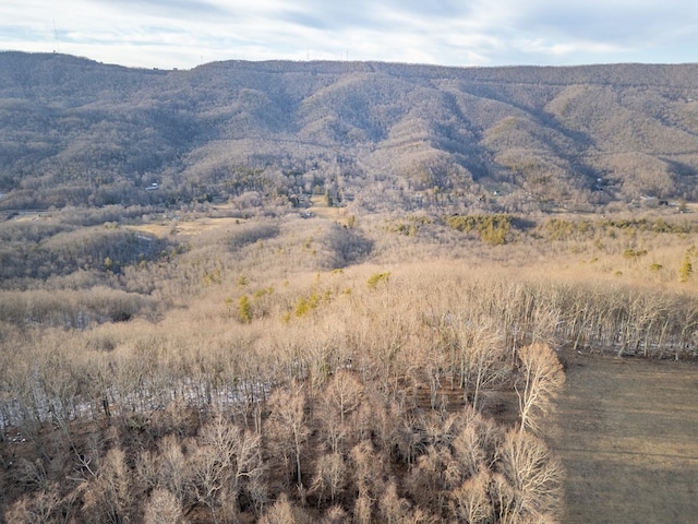 92Acres Laurel Fork Road 87&108, Rocky Gap, VA 24366 - photo 7