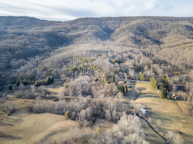 92Acres Laurel Fork Road 87&108, Rocky Gap, VA 24366 - photo 2