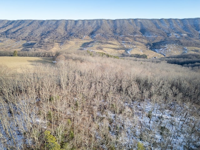 92Acres Laurel Fork Road 87&108, Rocky Gap, VA 24366 - photo 6