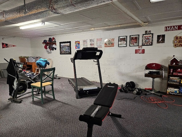 419 Tanglewood Dr, Glade Spring, VA 24340 - workout area featuring carpet