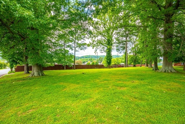 131 Copenhaver St, Marion, VA 24354 - photo 7