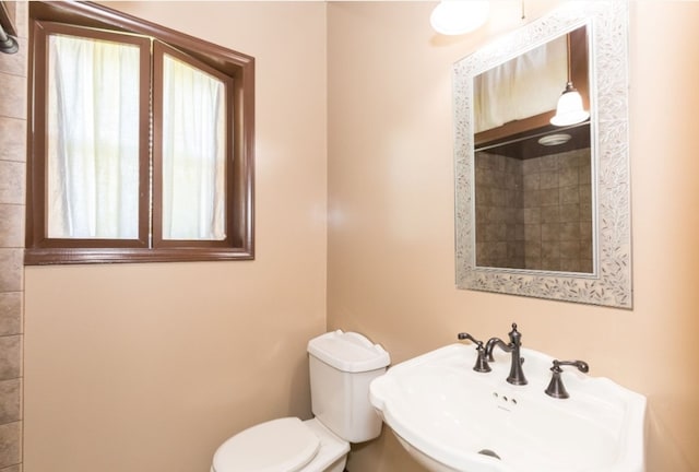 131 Copenhaver St, Marion, VA 24354 - photo 44