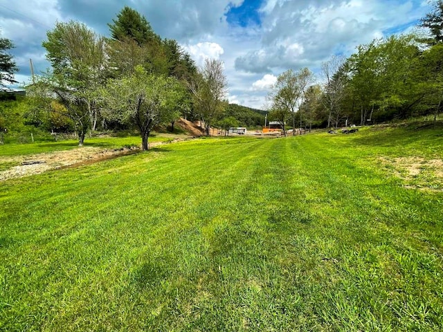 232 Echo Ridge Ln, Elk Creek, VA 24326 - view of grassy yard