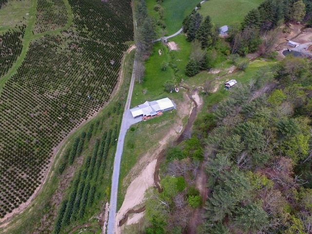 232 Echo Ridge Ln, Elk Creek, VA 24326 - aerial view of property and surrounding area