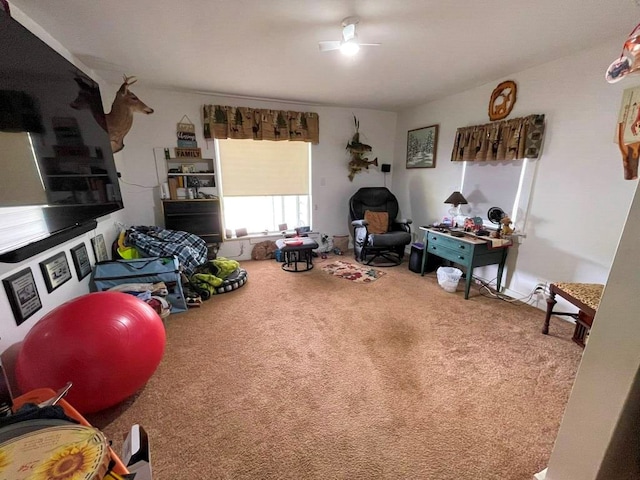 232 Echo Ridge Ln, Elk Creek, VA 24326 - living area featuring carpet floors and a ceiling fan