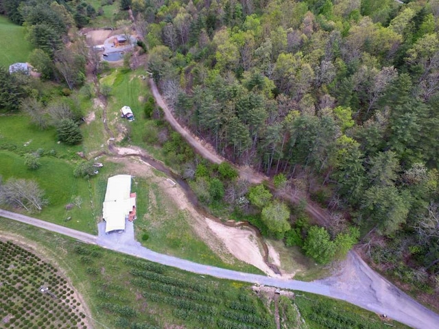 232 Echo Ridge Ln, Elk Creek, VA 24326 - aerial overview of property's location