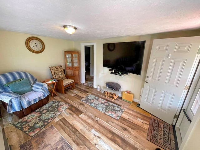 232 Echo Ridge Ln, Elk Creek, VA 24326 - living area featuring a textured ceiling and hardwood / wood-style floors