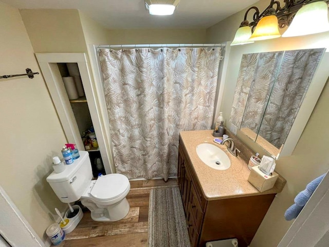 232 Echo Ridge Ln, Elk Creek, VA 24326 - bathroom with wood finished floors, toilet, vanity, and curtained shower
