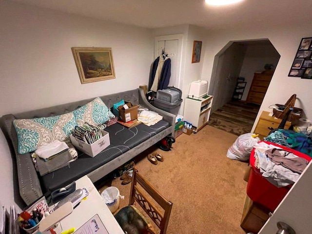 232 Echo Ridge Ln, Elk Creek, VA 24326 - carpeted bedroom with arched walkways