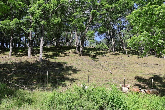 5043 Stones Chapel Rd, Elk Creek, VA 24326 - photo 41