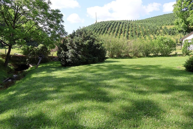 5043 Stones Chapel Rd, Elk Creek, VA 24326 - photo 36