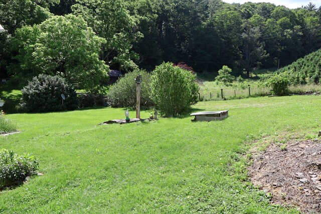 5043 Stones Chapel Rd, Elk Creek, VA 24326 - photo 46