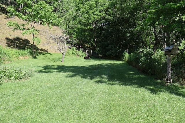 5043 Stones Chapel Rd, Elk Creek, VA 24326 - photo 38