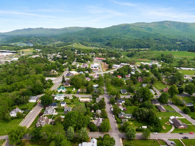 385 W Washington St, Wytheville, VA 24382 - photo 62