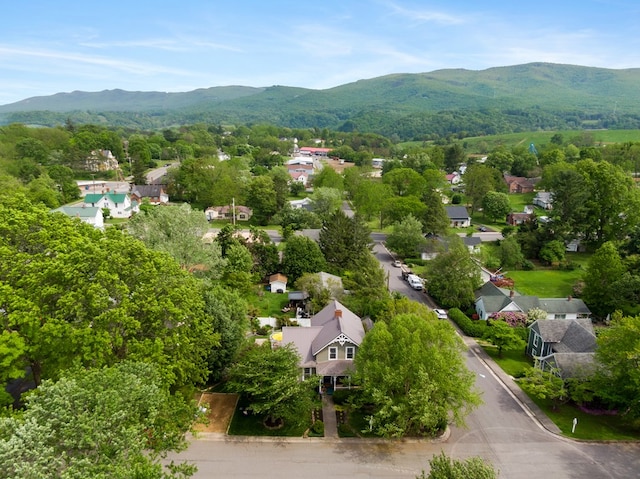385 W Washington St, Wytheville, VA 24382 - photo 67