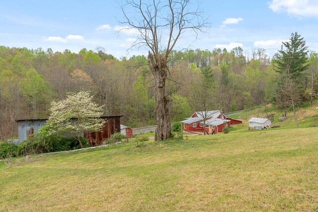 view of grassy yard featuring a forest view and an outdoor structure