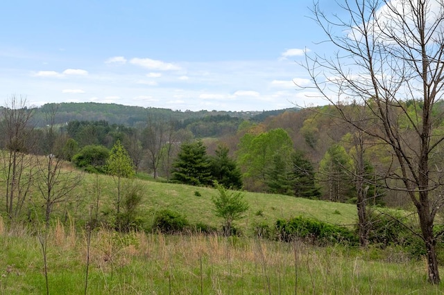 view of mountain backdrop with a heavily wooded area
