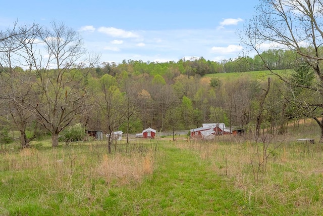 view of yard with a wooded view and a view of rural / pastoral area