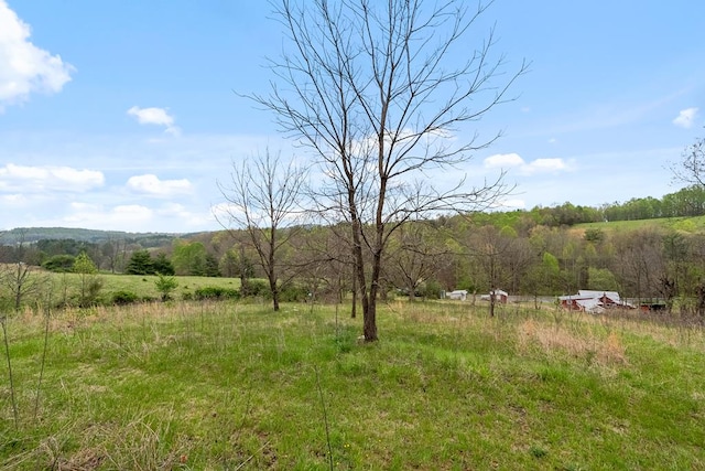 view of yard featuring a view of countryside