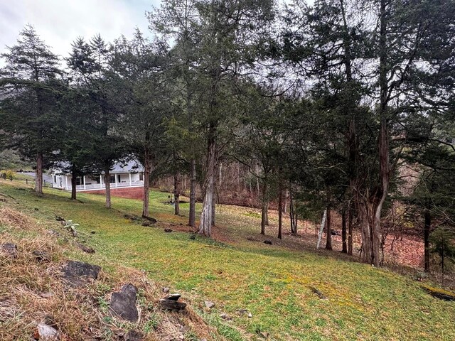 196 Goodwin Rd, Cedar Bluff, VA 24609 - view of green lawn