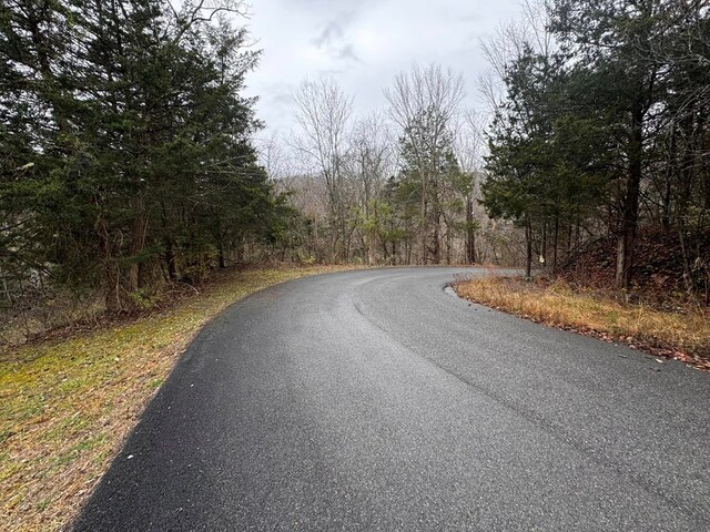 196 Goodwin Rd, Cedar Bluff, VA 24609 - view of asphalt street featuring a forest view