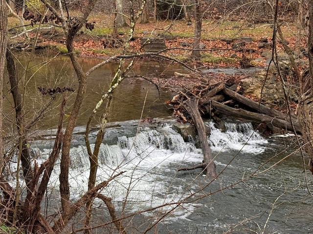 196 Goodwin Rd, Cedar Bluff, VA 24609 - view of local wilderness