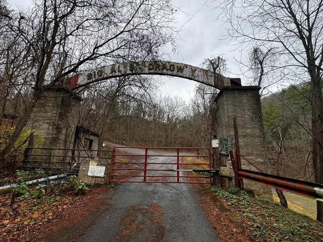 196 Goodwin Rd, Cedar Bluff, VA 24609 - gate with fence