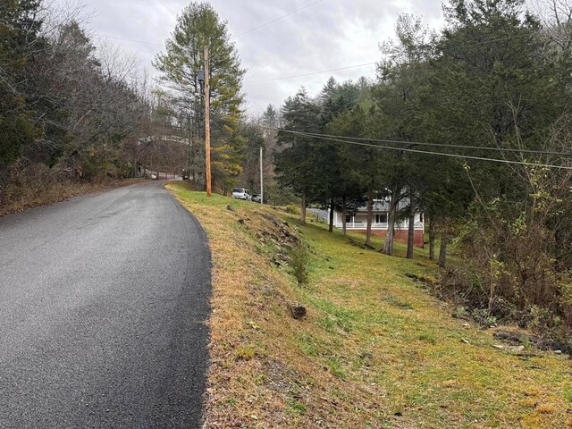 196 Goodwin Rd, Cedar Bluff, VA 24609 - view of asphalt street