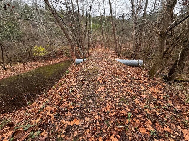 196 Goodwin Rd, Cedar Bluff, VA 24609 - view of road featuring a wooded view